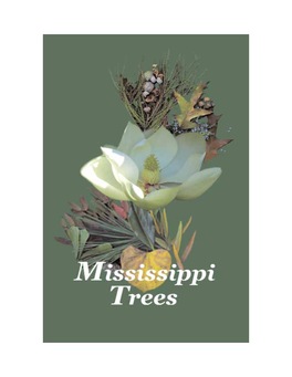Mississippi. Tree Identification Is an Obvious Necessity for Those Who Work in Forestry and Related Fields
