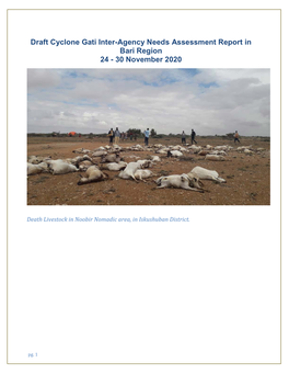 Draft Cyclone Gati Inter-Agency Needs Assessment Report in Bari Region 24 - 30 November 2020