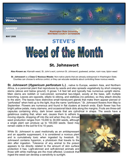 St. Johnswort