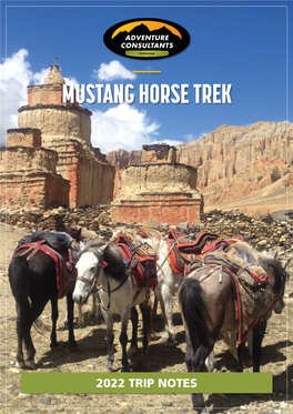 Mustang Horse Trek