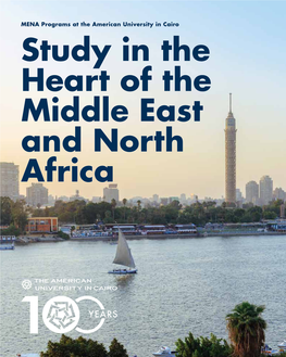 Study in the Heart of the Middle East and North Africa