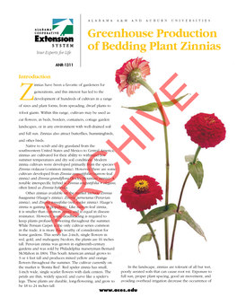 Greenhouse Production of Bedding Plant Zinnias