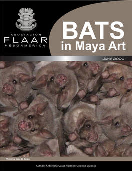 BATS in Maya Art