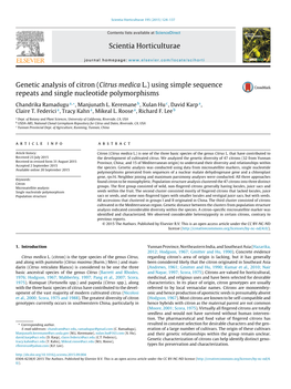 Genetic Analysis of Citron (Citrus Medica L.) Using Simple Sequence