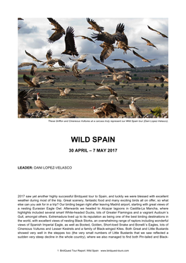 Wild Spain Tour (Dani Lopez-Velasco)