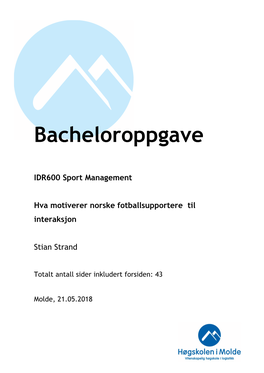 Bacheloroppgave (1.339Mb)