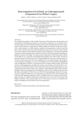 Reinvestigation of Leaf Rank, an Underappreciated Component of Leo Hickey’S Legacy Stefan A