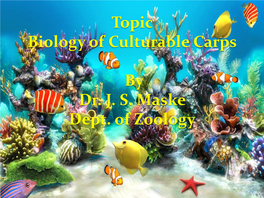 Topic Biology of Culturable Carps by Dr. J. S. Maske Dept. of Zoology