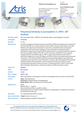 Polyclonal Antibody to Junctophilin-3 / JPH3