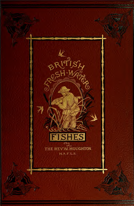 British Fresh-Water Fishes 1879 Vol 2