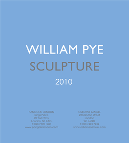 William Pye Sculpture 2010