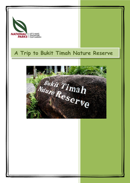 A Trip to Bukit Timah Nature Reserve