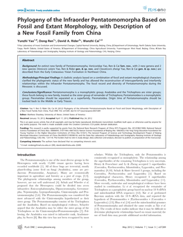 Phylogeny of the Infraorder Pentatomomorpha Based on Fossil and Extant Morphology, with Description of a New Fossil Family from China