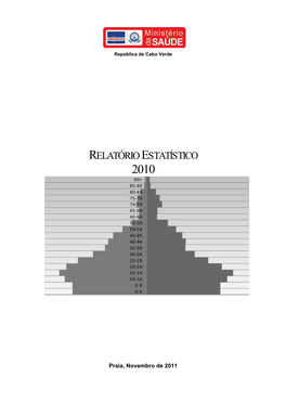 Relatório Estatístico 2010