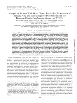 Analysis of the Pmsceab Gene Cluster Involved in Biosynthesis Of