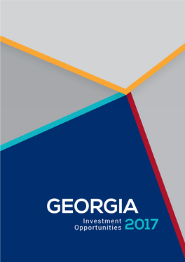 GEORGIA Investment Opportunities 2017 PAGE 1