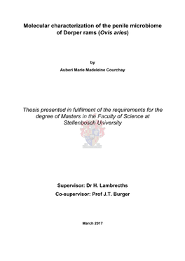 Molecular Characterization of the Penile Microbiome of Dorper Rams (Ovis Aries)