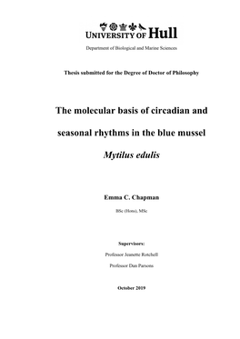 The Molecular Basis of Circadian and Seasonal