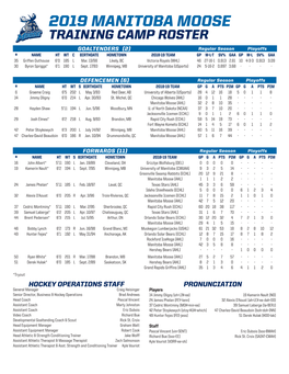 2019 Manitoba Moose Training Camp Roster