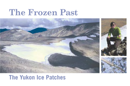 The Frozen Past: the Yukon Ice Patches, Is Available on Line At