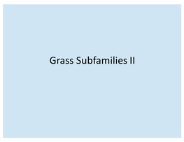 Grass Subfamilies II