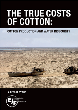 The TRUE Costs of Cotton: Cotton Production and Water Insecurity