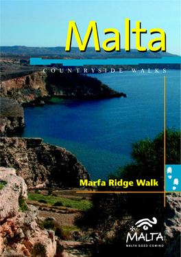 Marfa Ridge Walk