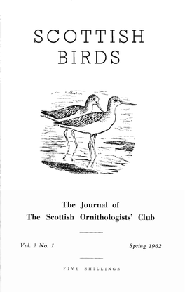 Scottish Birds