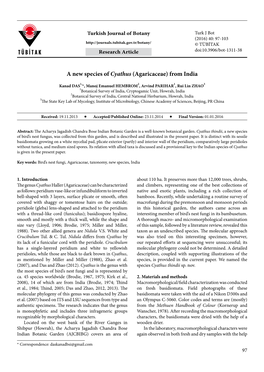 A New Species of Cyathus (Agaricaceae) from India