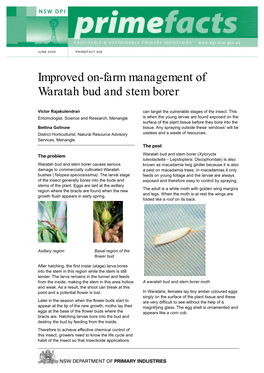 Improved On-Farm Management of Waratah Bud and Stem Borer