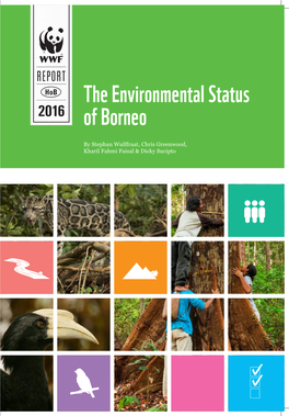 The Environmental Status of Borneo