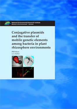 Conjugative Plasmids and the Transfer of Mobile Genetic Elements Among Bacteria in Plant Rhizosphere Environments