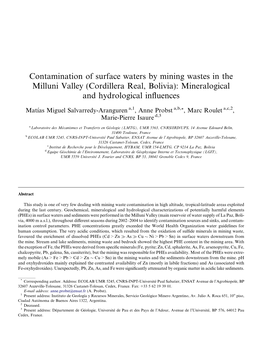 Contamination of Surface Waters by Mining Wastes in the Milluni Valley (Cordillera Real, Bolivia): Mineralogical and Hydrological Inﬂuences