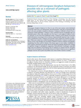 (Sorghum Halepense): Possible Role As a Reservoir of Pathogens