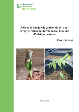 Rôle De La Banque De Graines Du Sol Dans La Régénération Des Forêts Denses Humides D'afrique Centrale