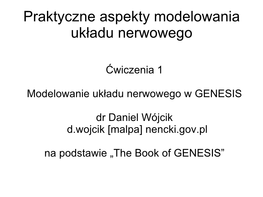 Praktyczne Aspekty Modelowania Układu Nerwowego