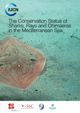 The Conservation Status of Sharks, Rays and Chimaeras in the Mediterranean Sea [Brochure]