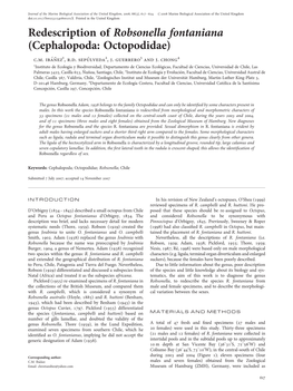 Redescription of Robsonella Fontaniana (Cephalopoda: Octopodidae) C.M