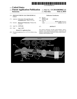 (12) Patent Application Publication (10) Pub. No.: US 2014/0038065 A1 Ramasamy (43) Pub