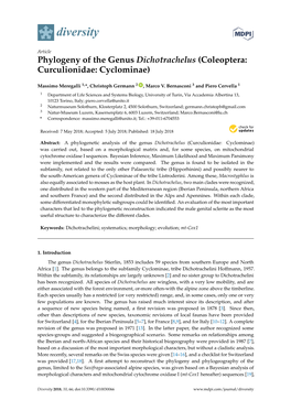 Phylogeny of the Genus Dichotrachelus (Coleoptera: Curculionidae: Cyclominae)