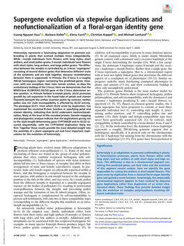 Supergene Evolution Via Stepwise Duplications and Neofunctionalization of a Floral-Organ Identity Gene