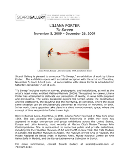 LILIANA PORTER to Sweep November 5, 2009 – December 26, 2009