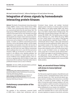 Integration of Stress Signals by Homeodomain Interacting Protein Kinases