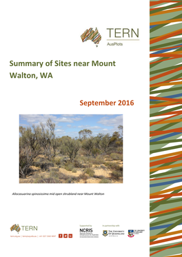 Summary of Sites Near Mount Walton, WA