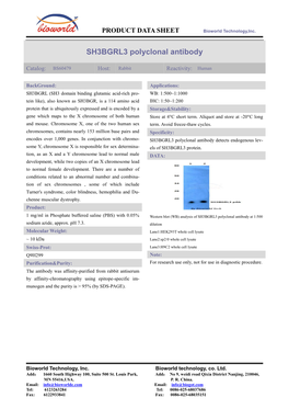 SH3BGRL3 Polyclonal Antibody