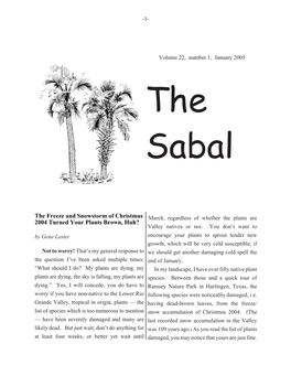 Sabal Jan 05