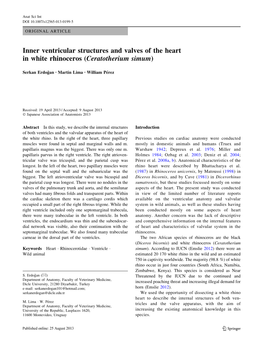 Inner Ventricular Structures and Valves of the Heart in White Rhinoceros (Ceratotherium Simum)