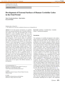 Development of External Surfaces of Human Cerebellar Lobes in the Fetal Period