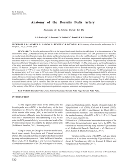 Anatomy of the Dorsalis Pedis Artery