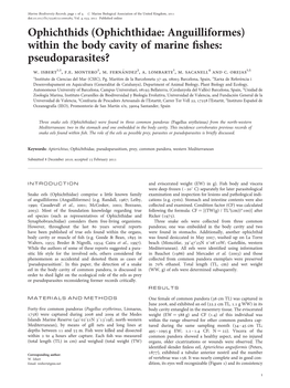 Ophichthidae: Anguilliformes) Within the Body Cavity of Marine ﬁshes: Pseudoparasites? W